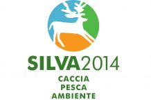 Silva rinviata