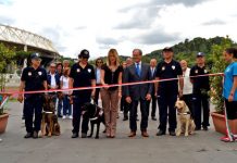 Il Galà della cinofilia