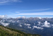 Setter su selvaggina di montagna