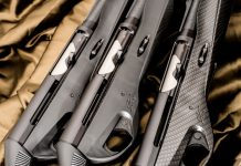 Benelli Vinci Speedbolt, Supersport e Cordoba