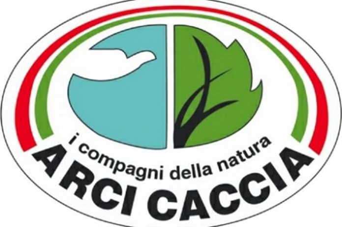 arcicaccia-condanna-la-bagarre-animalista-contro-roberto-baggio_1