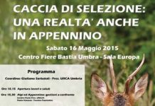 La caccia di selezione a Bastia umbra