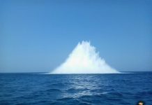La “sorpresa” di Cesenatico