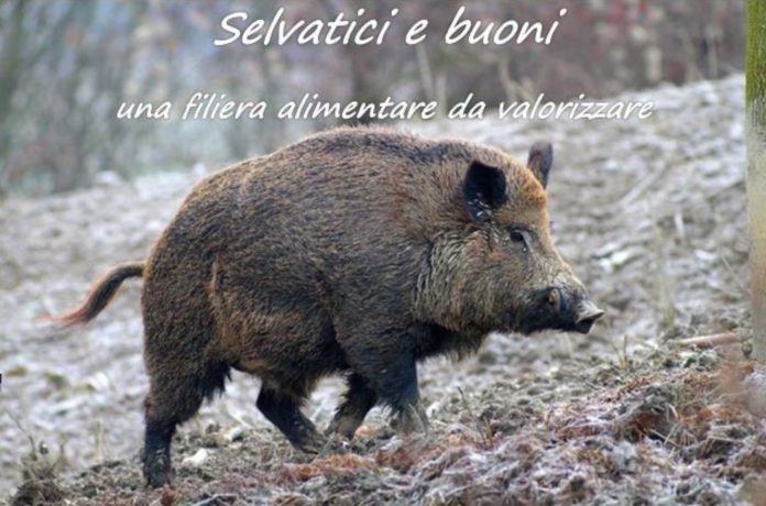 selvatici-e-buoni-uomo-natura-ambiente_1