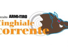 I finalisti del Cinghiale corrente
