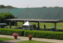 Un circuito invernale a Lonato