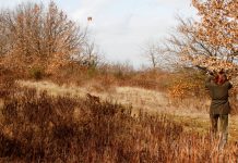 L’animalismo non obiettivo di Repubblica