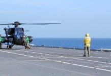 Mangusta… dal mare