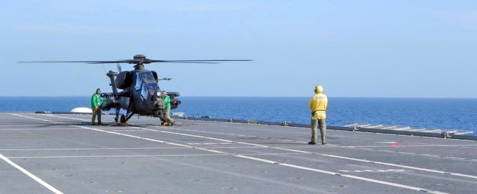 mangusta-dal-mare_1