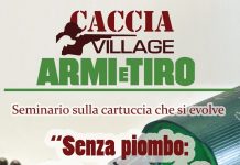 La questione piombo a Caccia village