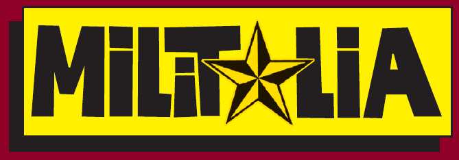 torna-militalia-a-novegro_1