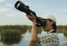 Digiscoper of the year