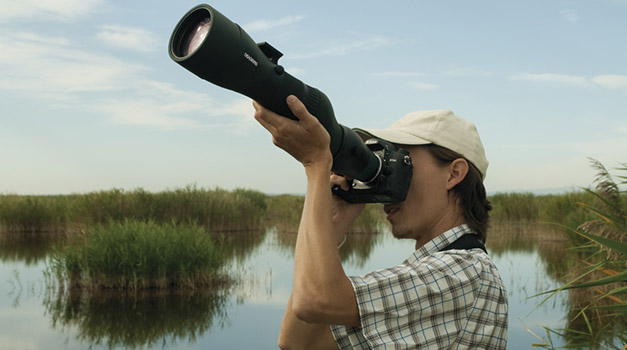 digiscoper-of-the-year_1