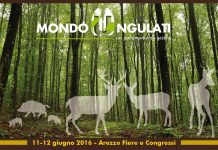 Mondo ungulati, i giorni del cinghiale
