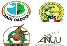 Primo, decisivo passo per l’unità