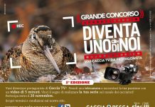 Torna “Diventa uno di noi”