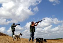 Toscana: accordo con Umbria e Lazio per i “pendolari”