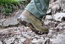 Il Leopard costa un po’ di più