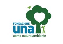 Una onlus: “la sterilizzazione non basta”
