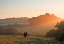 Blaser, Sauer e Mauser vanno da soli
