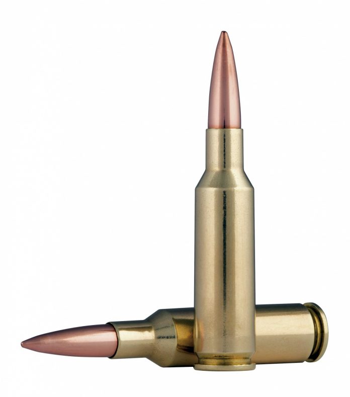 224Valkyrie_90grSMK