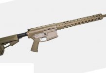 L’ Ar10 in .45-70 Government si chiama… Christine