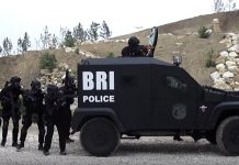 Dimostrazione “dinamica” della Bri