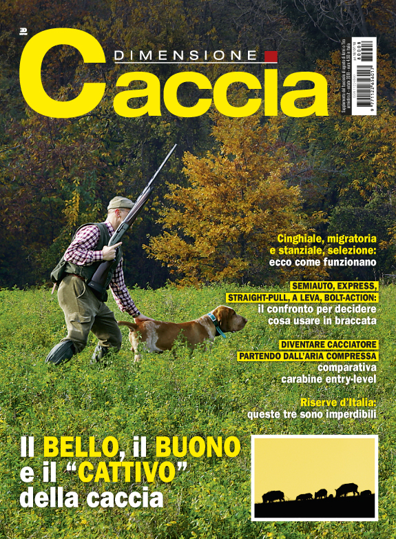 COP DIM CACCIA