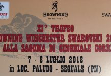 Cinghiale corrente e non solo a Sequals
