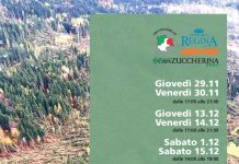 Il tiro e la solidarietà