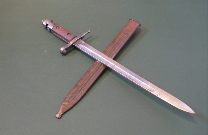 Bayo