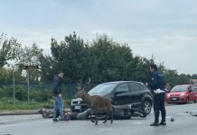 E Ispra consiglia gli autovelox!
