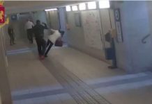 Regole di sopravvivenza nella giungla metropolitana!