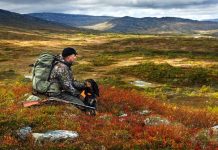 La Norvegia torna al piombo nelle zone umide