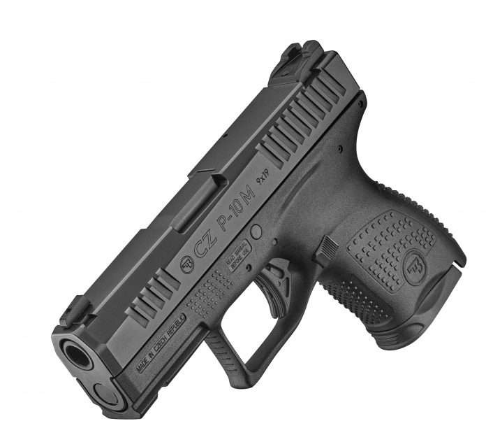 P-10M_3D