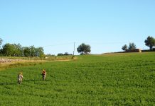 “Libera” circolazione in Toscana-Umbria-Lazio!