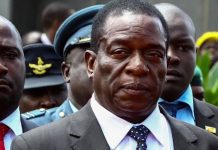 Lo Zimbabwe riapre ai farmer bianchi