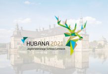 Iwa per il pubblico: nasce Hubana