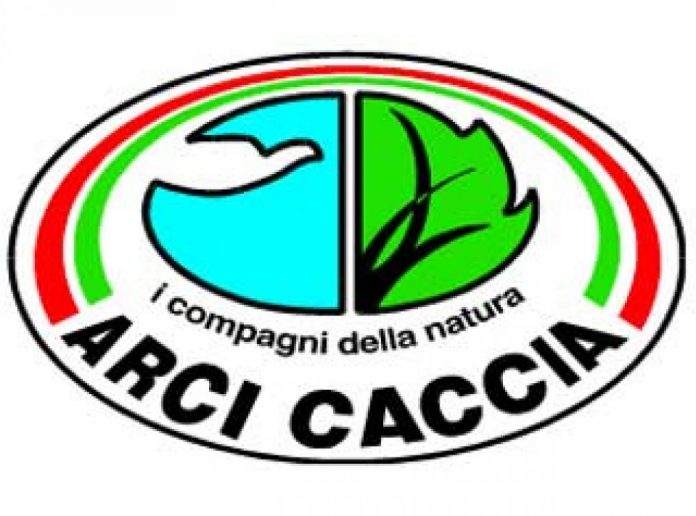 B_arci