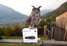 Zeiss e Bignami per la salvaguardia del gufo