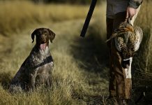 Il ddl “proteggi animali” mette a rischio la caccia