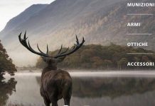 On-line il nuovo catalogo Ruag