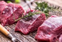 Toscana: selvaggina cacciata per il banco alimentare di Firenze