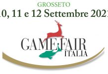Ritorna Game fair!