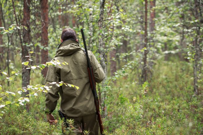 Hunter,With,Shotgun,Walking,In,The,Forest.,Hunting,Season.,Fowling