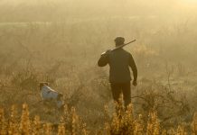 Riapre la caccia in Lombardia