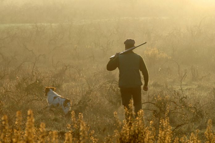 Hunter,And,His,Dog,Looking,For,Small,Game