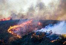 Bocciata l’estensione dei divieti di caccia in caso di incendio