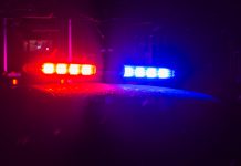 Sicurezza: Milano in testa per numero di denunce