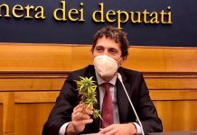 Magi: un bel doppiopesismo, tra armi e cannabis?